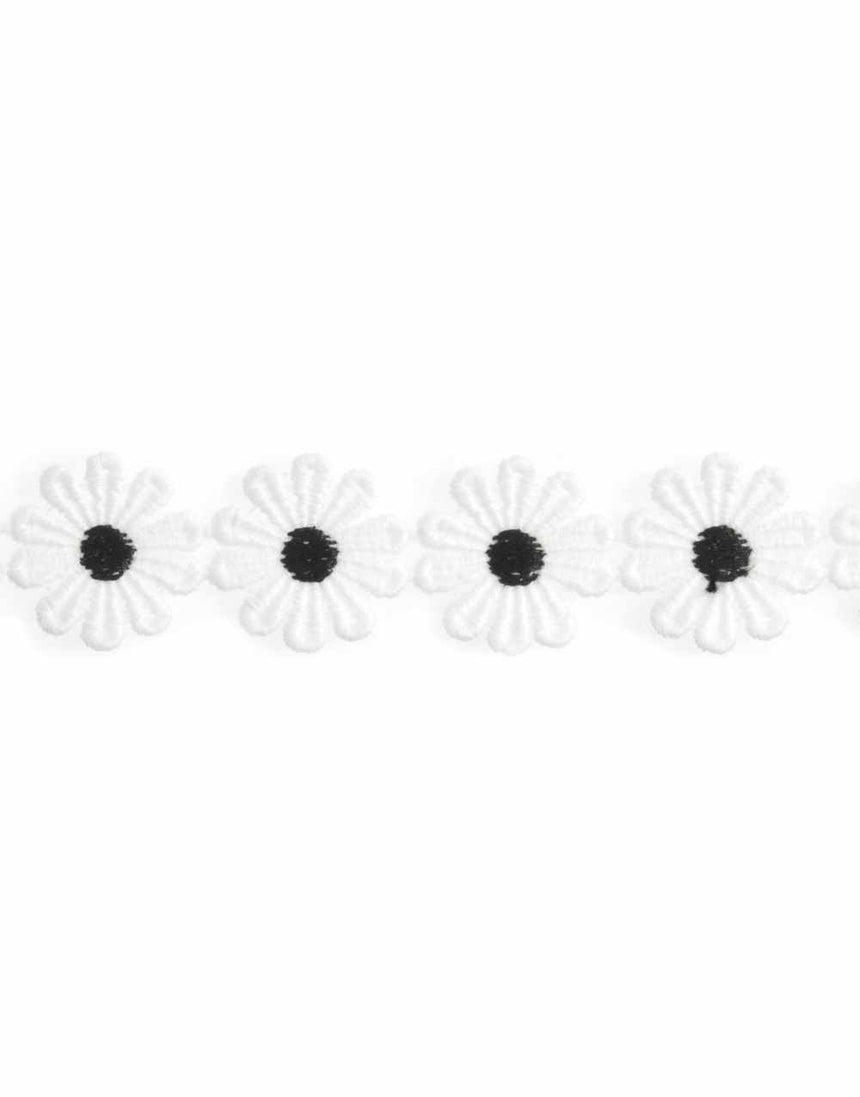 Daisy Trim White with Black Centres