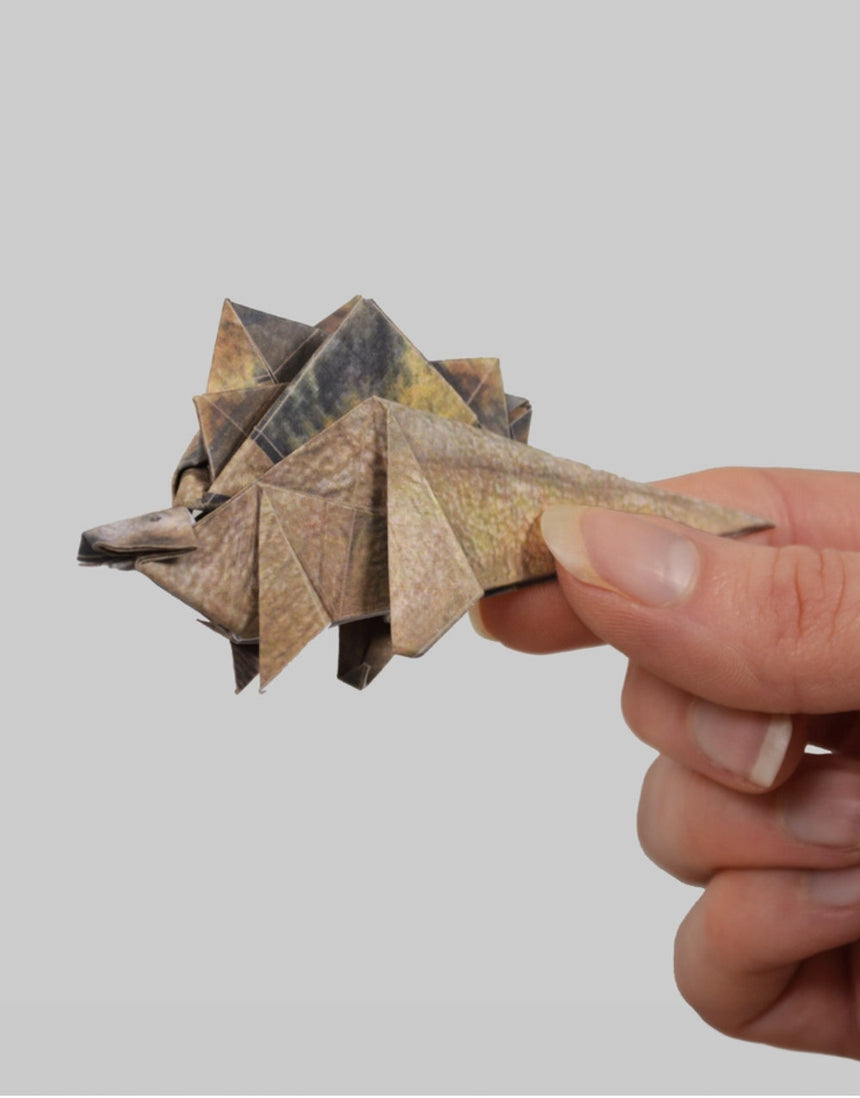 Fold your Own Paper Dinos, Pikkii