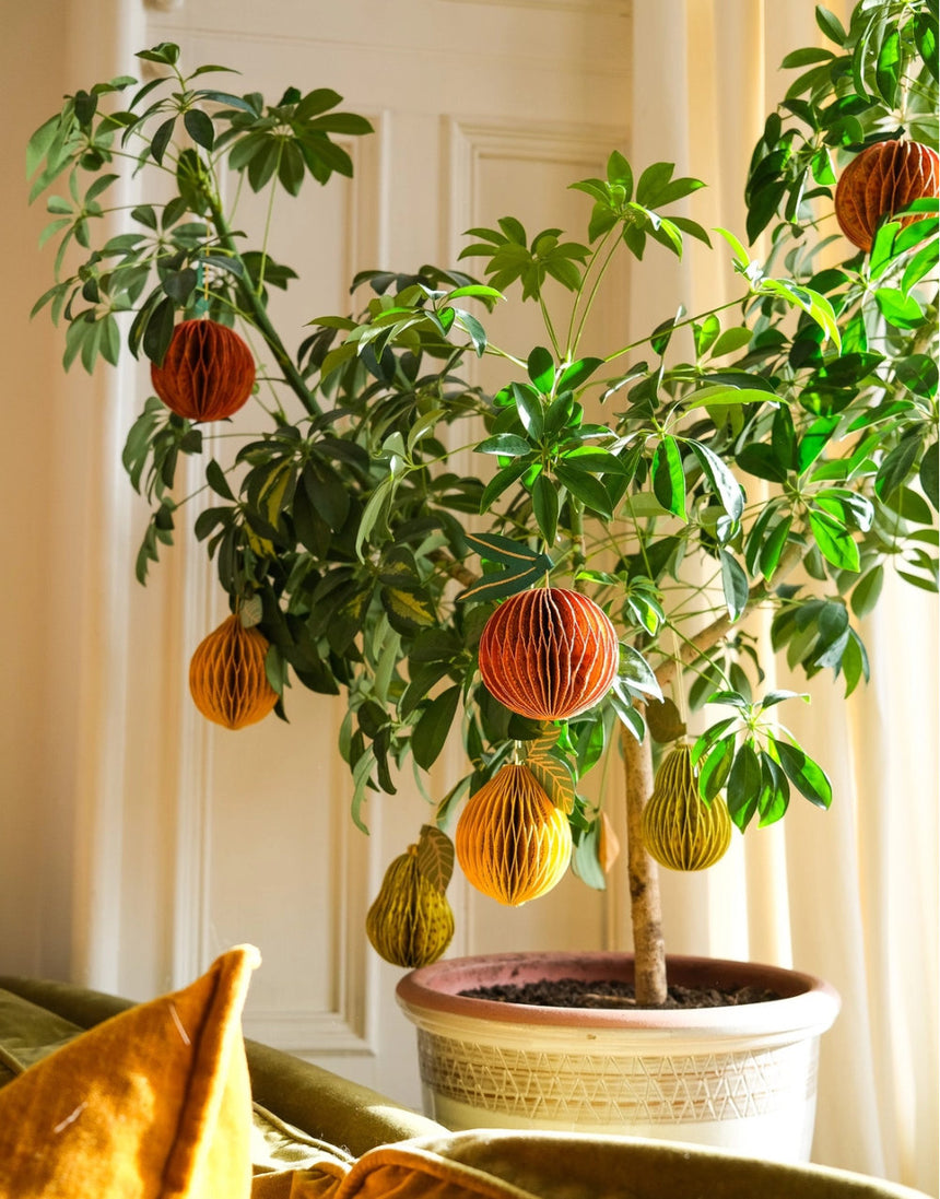 Lemon Honeycomb Decoration, East End Press