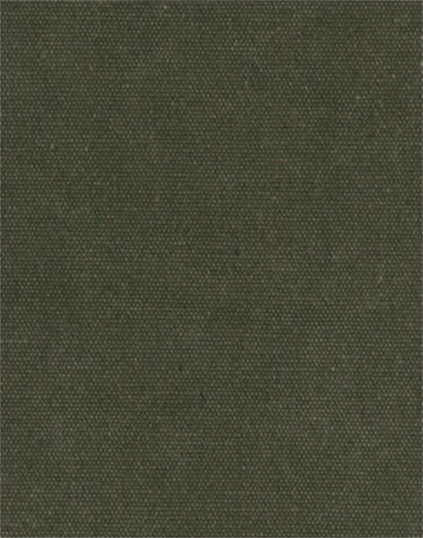 Urban Olive Heavy Canvas Fabric, Light & Lush