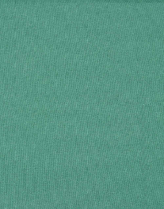 Not Specified Cotton Jersey Green / Plain Light Petrol Organic Cotton Jersey Fabric 14166