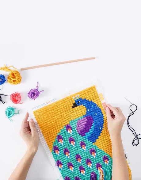 Sozo Children's Craft Kits Peacock Wall Art Needlepoint Kit, Sozo DIY 0608631393401 608631393401