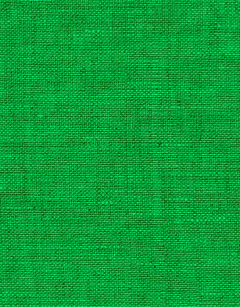 Green Washed Pure Linen Fabric