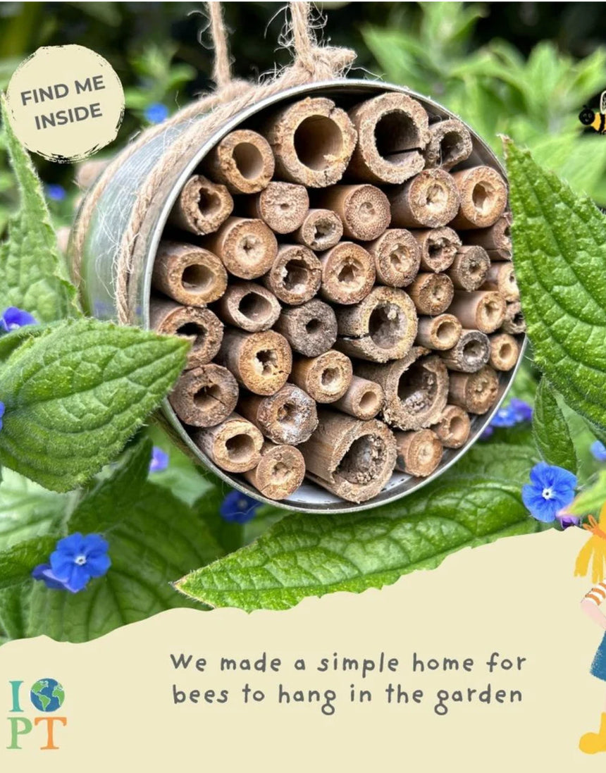 Buzzing Bees, Tool Kit for Eco Heros, It's Our Planet Too