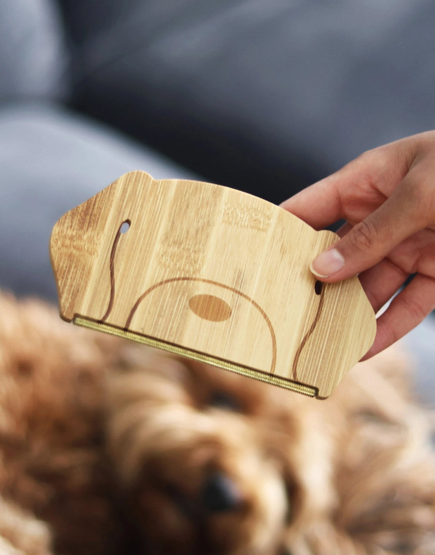 Dog Hair Remover, Pikki