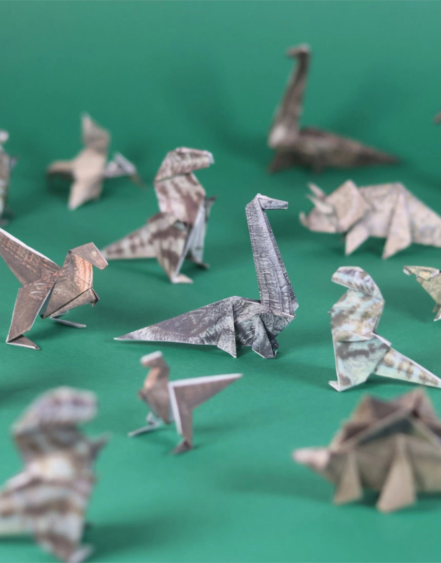 Fold your Own Paper Dinos, Pikkii