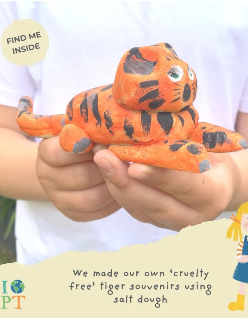 Terrific Tigers, Tool Kit for Eco Heros, It's Our Planet Too