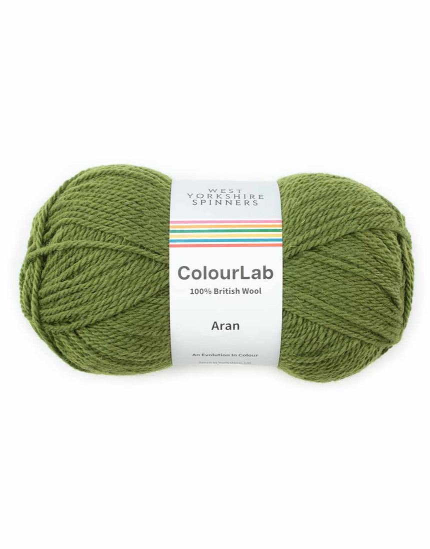 ColourLab Aran Yarn, West Yorkshire Spinners