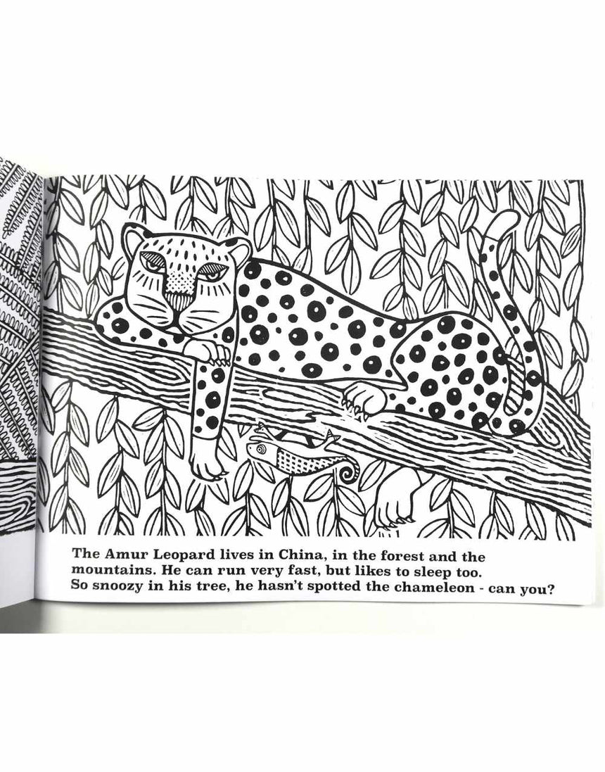 Colour in Animals by Patrick Kennedy