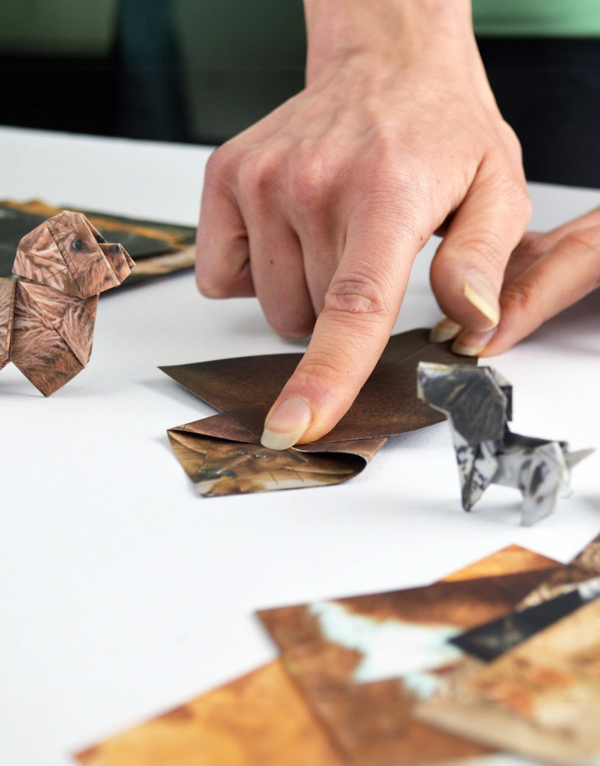 Fold you own Paper Pups, Pikkii