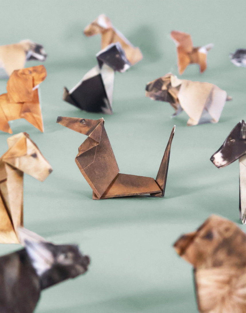 Fold you own Paper Pups, Pikkii