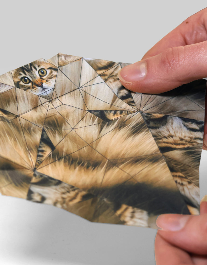 Fold you own Paper Cats, Pikkii