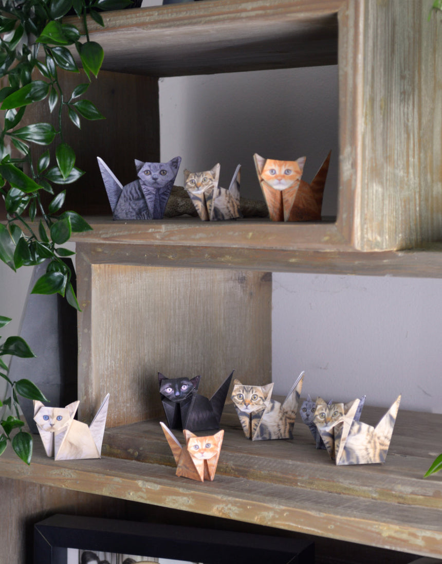 Fold you own Paper Cats, Pikkii