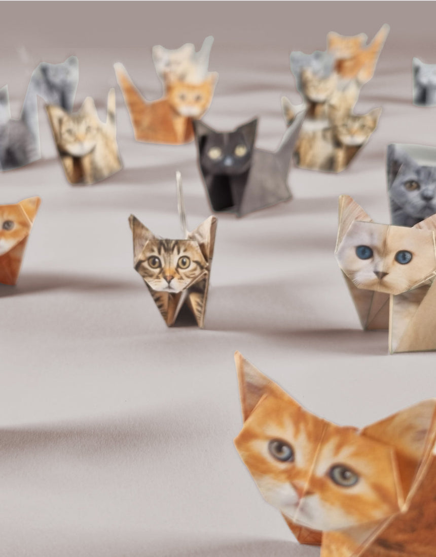 Fold you own Paper Cats, Pikkii