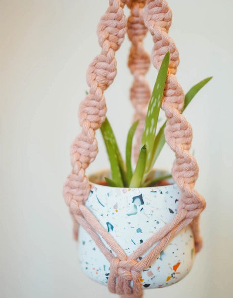 Studio Dawn Macrame Mini Macrame Plant Hanger Kit with Funfetti Pot