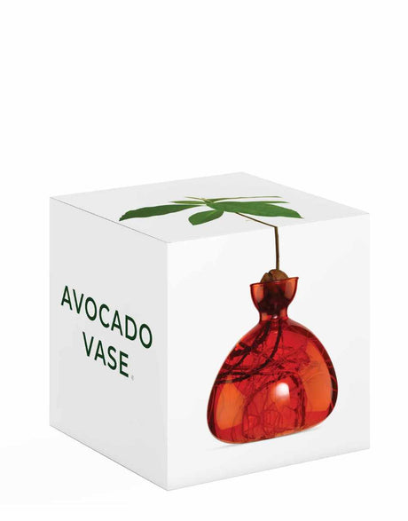Ilex Studio Gifts Scarlet Avocado Vase, Ilex Studio 650380367974
